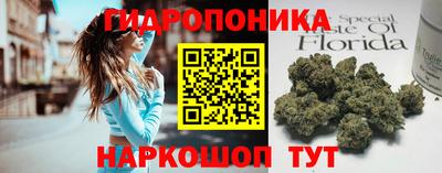 PSILOCYBIN Заволжье