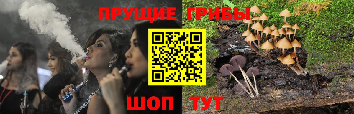 Галлюциногенные грибы мухоморы  Вход с VPN  Лениногорск 