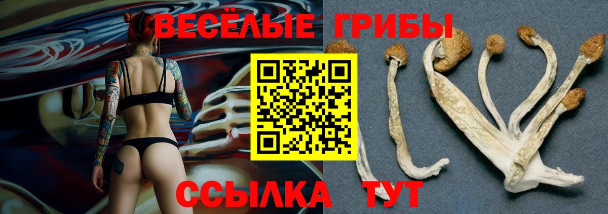 Галлюциногенные грибы мухоморы Лениногорск